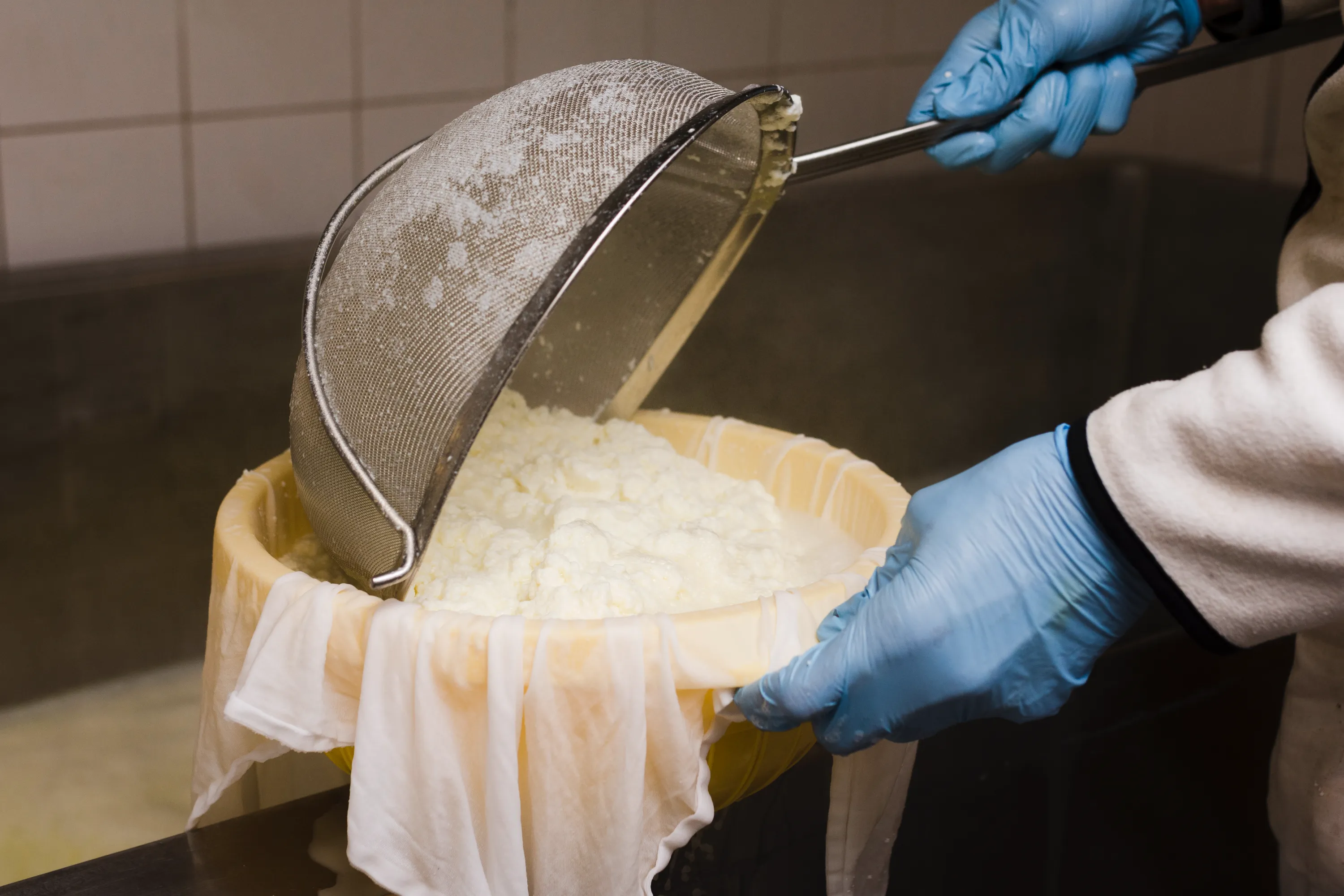 Tofu Herstellung